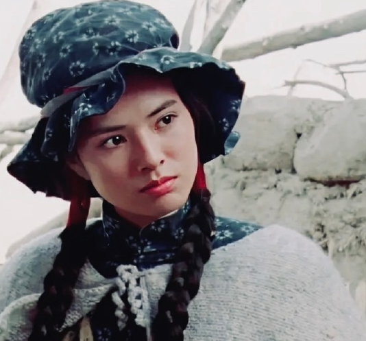 火烧红莲寺(1994年由林岭东执导的电影)