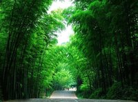 四川旅游(图文路线指南)
