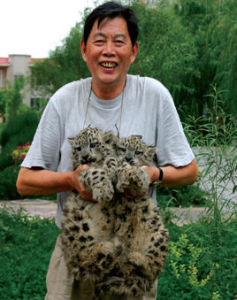 美丽的西沙群岛(刘先平著写大自然文学系列作品)