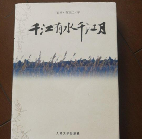 千江有水千江月(2006年人民文学出版社出版的图书)