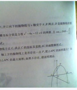 顶点坐标(几何名称)