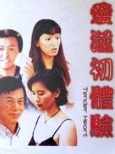 慌心体验(雷瑞麟执导的香港电影)