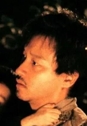 流星语(中国1999年张之亮执导的电影)