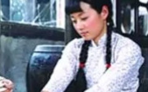 美丽无声(2008年黄健中执导的电视剧)