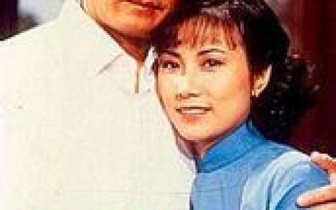 万水千山总是情(1982年杜琪峰等执导的电视剧)