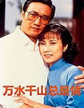 万水千山总是情(1982年杜琪峰等执导的电视剧)