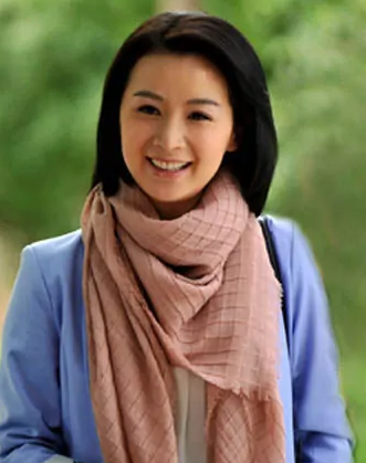 媳妇是怎样炼成的(2012年卢伦常执导的电视剧)