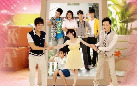 桃花小妹(2009年瞿友宁执导的电视剧)