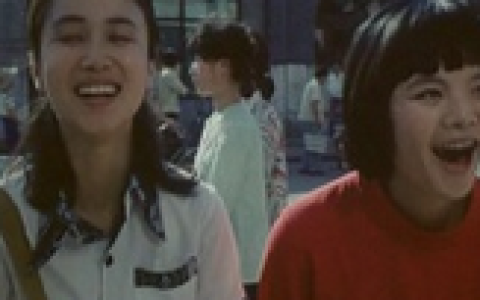 红衣少女(1985年陆小雅执导的电影)