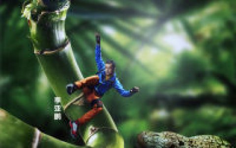 丛林的法则(野外生存类真人秀节目)