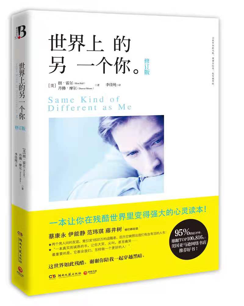 世界上的另一个你(2016年湖南文艺出版社出版的图书)