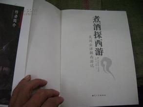 煮酒探西游(文学理论类小说)