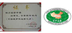 塔罗科血橙(中国大力推广的优良橙类品种)