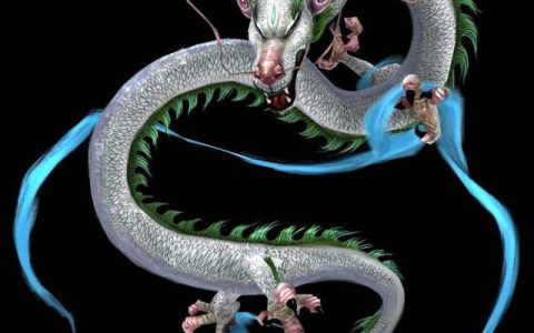 中国龙(中国神话传说中的形象)