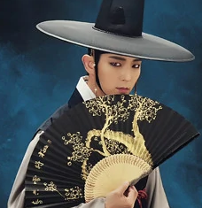 夜行书生(韩国2015年李成俊执导电视剧)