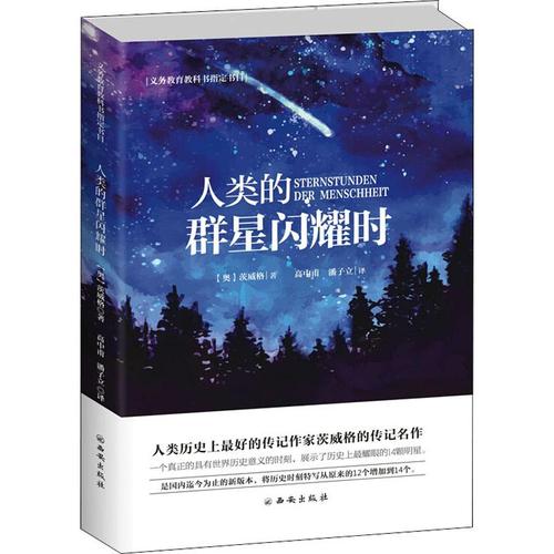 人类的群星闪耀时(2004年广西师范大学出版社出版的图书)