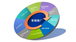 营销方案(销售促进活动的整体性策划)