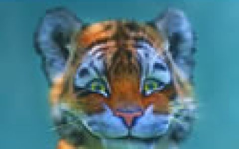 可爱动物(拉拉布书出版的图书)