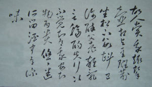 饮酒二十首(五言古诗)