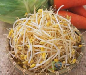 芽菜(豆芽的简称)