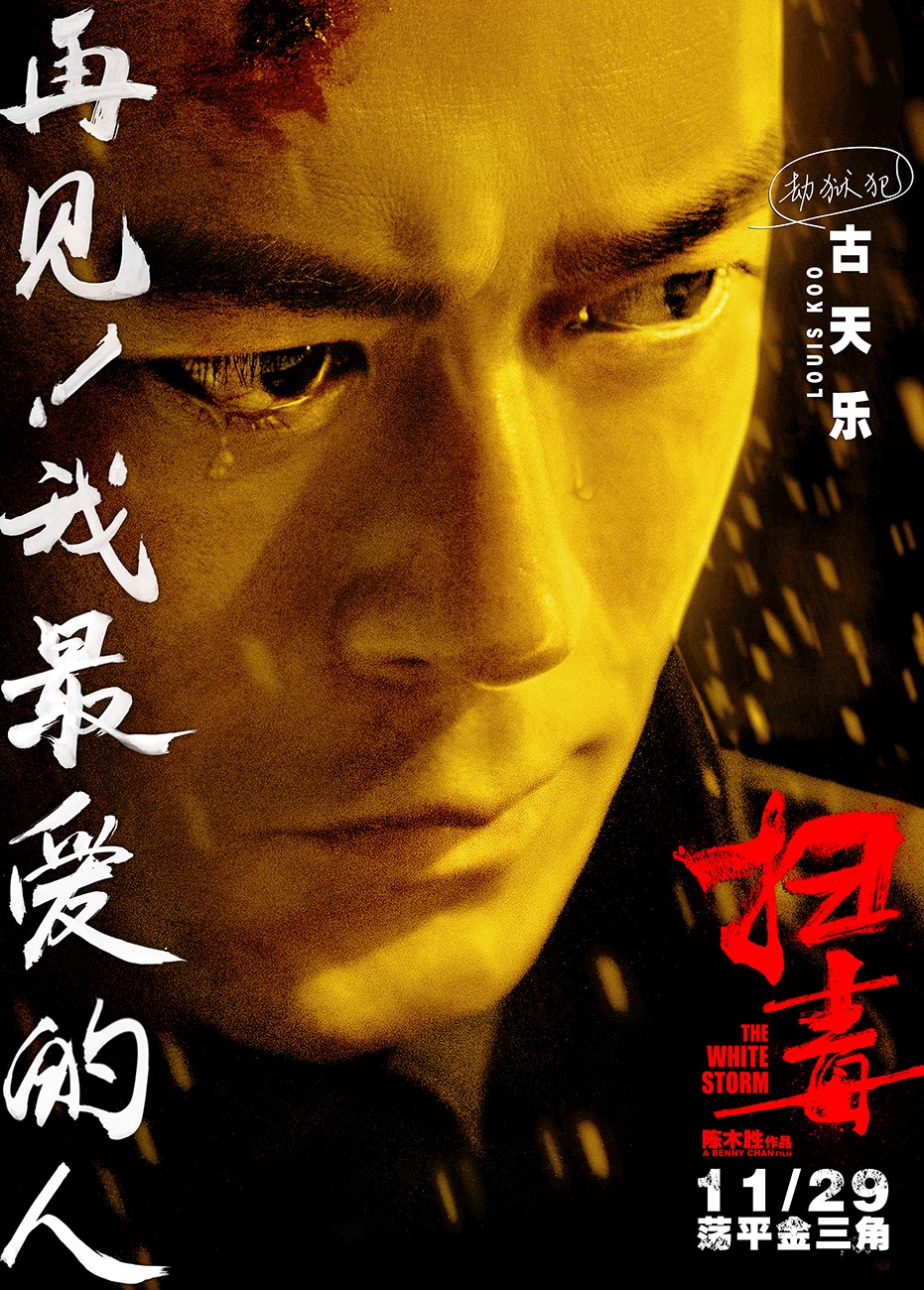 扫毒(2013年陈木胜执导的电影)