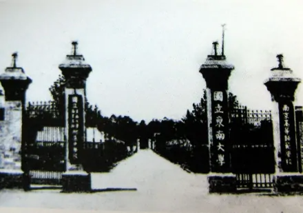 东南大学(中国双一流大学)