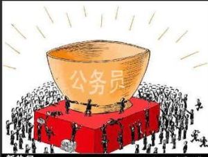 公考(一种公务员考试)