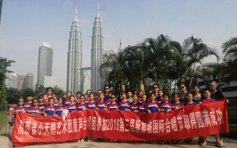 陕西省小天鹅艺术团(艺术教育培训机构)