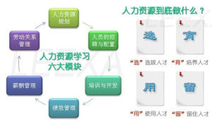 人事六大模块(人力资源管理六大模块)