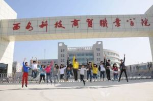 西安科技商贸职业学院(高等职业院校)
