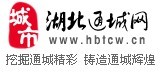 湖北通城网(门户型网站)
