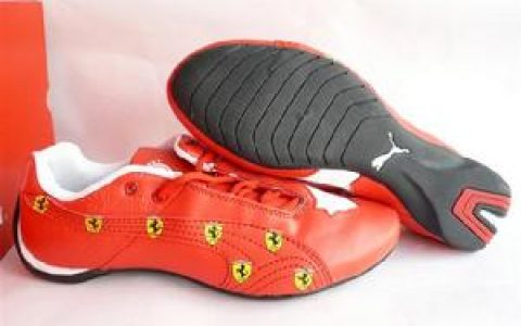 PUMA(德国运动品牌)