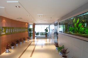 武汉东湖新技术开发区(湖北省武汉市技术开发区)