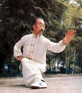 拳术(拳法是徒手武术运动的一部分)