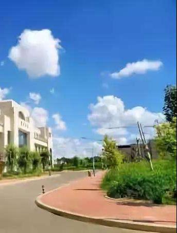 黑龙江开放大学(新型高等学校)