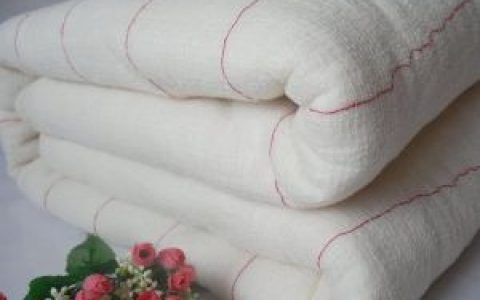 棉花被(被子品种)