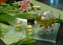 千岛玉叶(茶属双子叶植物纲)