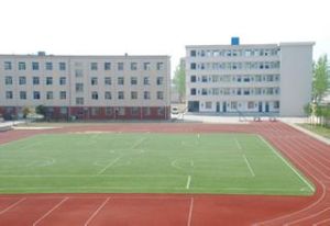 合肥育英中学(安徽省合肥市首家转制学校)