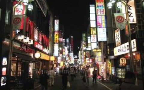 歌舞伎町(东京娱乐中心)