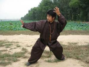 大成拳(中国拳术)