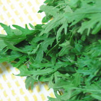 雪里红(十字花科芸薹属植物)