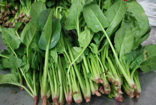 菠菜(藜科菠菜属草本植物)