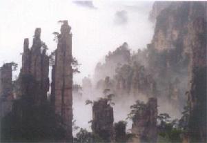 风景名胜区(具有观赏文化或者科学价值的风景区)