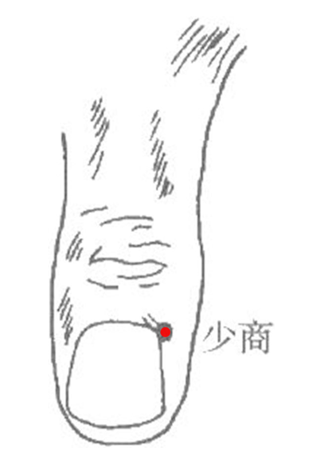 少商穴(中医基础术语)