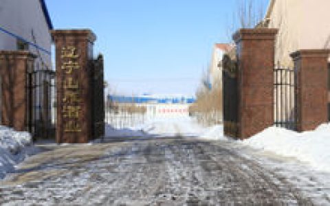 山雁王酒(辽宁山雁王酒业有限公司)