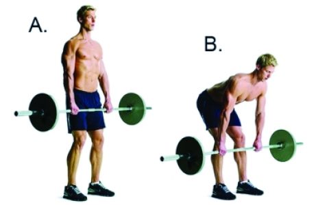 硬拉(负重训练)