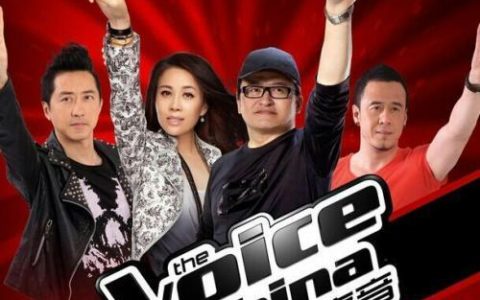 中国好声音(音乐评论节目)