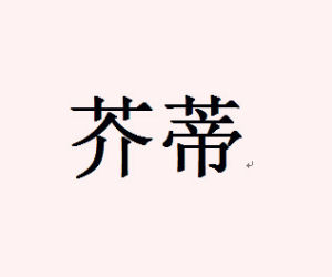 芥蒂(汉语词语)
