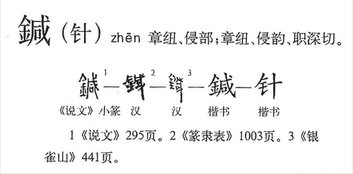 针(汉语文字)