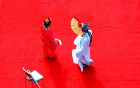 黄梅戏(中国五大戏曲剧种之一)